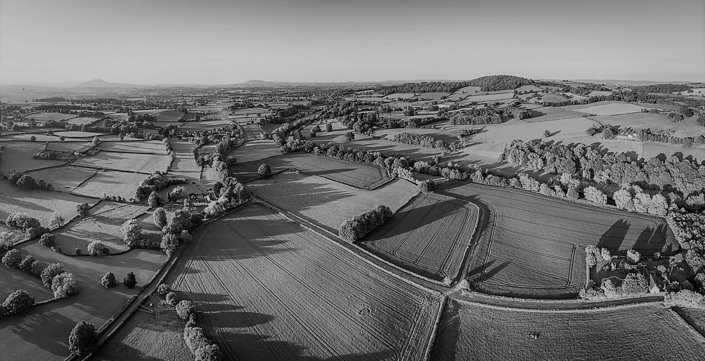 Green Mountain State Primary Results Stateside Associates